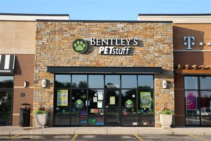 Why did Bentley’s Pet Stuff close?
