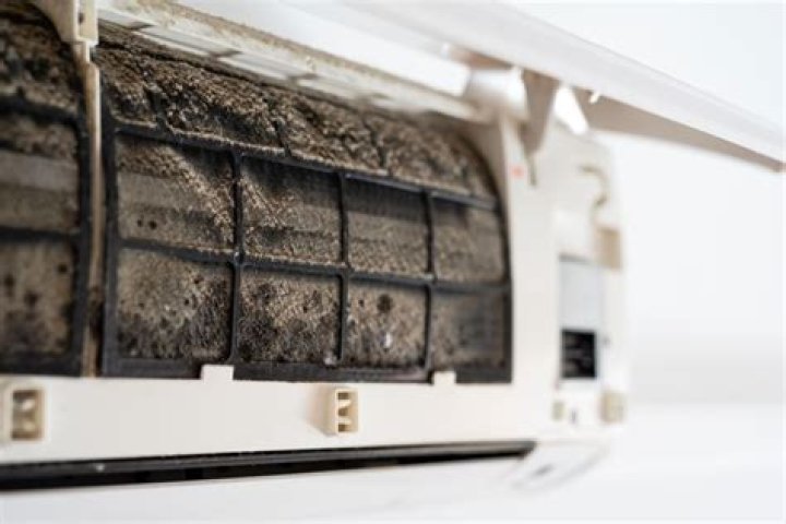 Why does my window AC unit have mold?