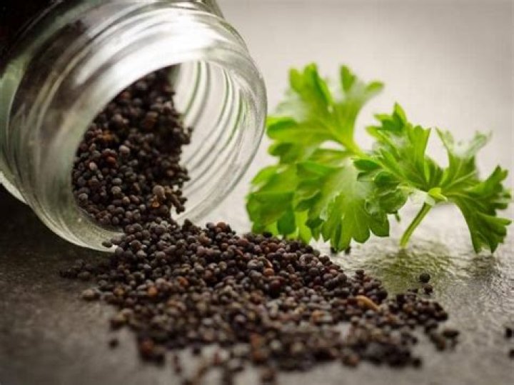 Will black pepper keep rabbits away?
