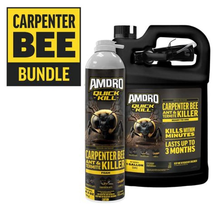 Will Carpenter bee spray kill wasps?