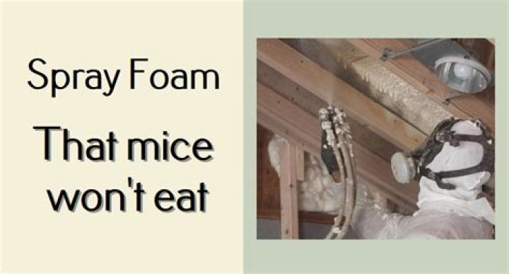 Will mice eat spray foam?