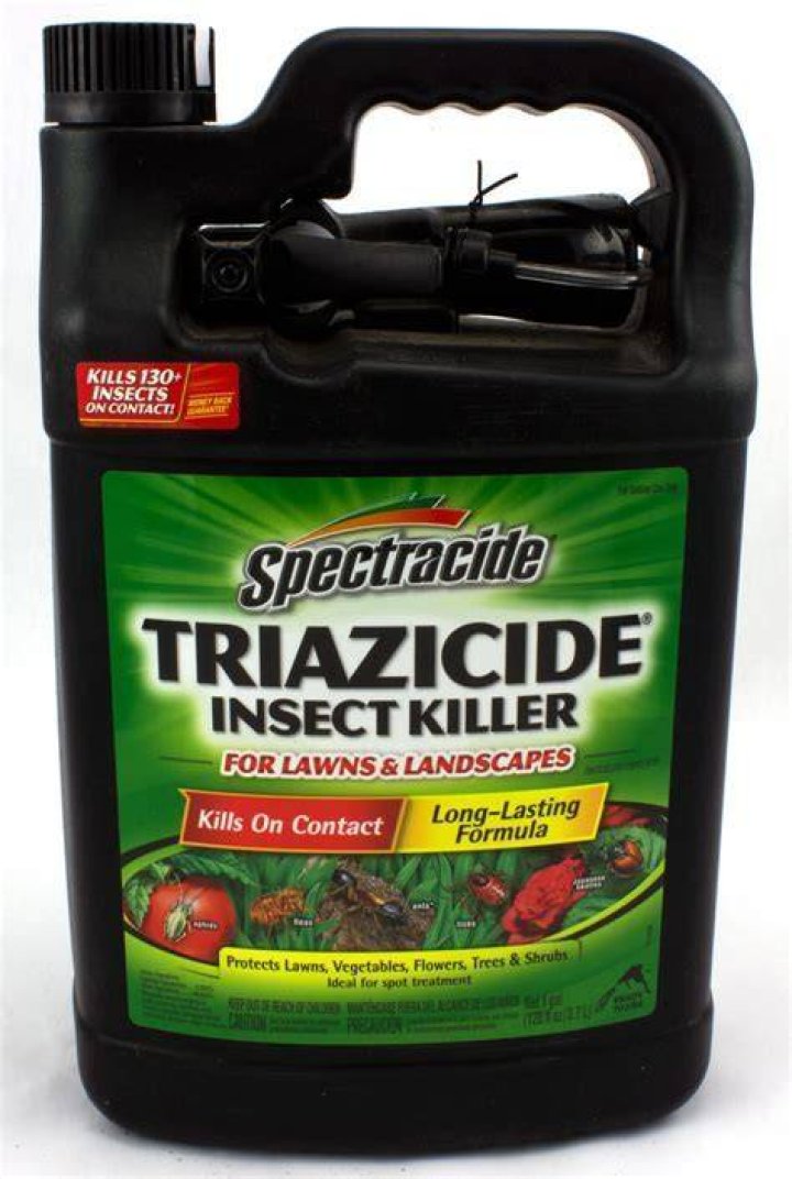Will spectracide kill honey bees?